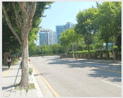  2025Ÿ��42001 ��� ���ý� ������ 828 ���Ƶ������Ʈ 103�� 1��102ȣ    ����Ʈ���