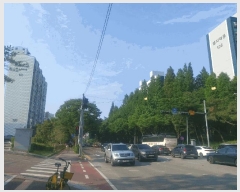  2025Ÿ��42048 ��� ���ý� ������ 813 ������������Ʈ 103�� 3��303ȣ    ����Ʈ���