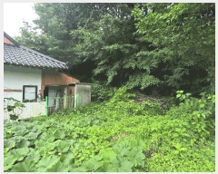  2025Ÿ��42121  �������