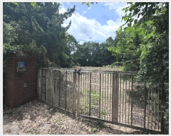  2025Ÿ��42121  �������