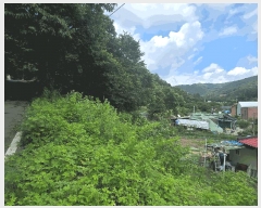  2025Ÿ��42121  �������