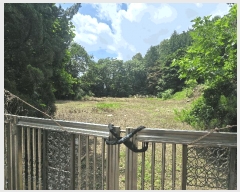  2025Ÿ��42121  �������