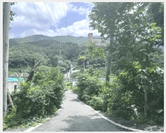  2025Ÿ��42121  �������