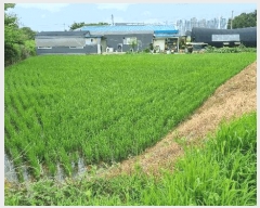  2025Ÿ��42132 ��� ���ý� ������ ȭ�縮 28-2      ����(��1)���