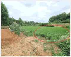  2025Ÿ��42132 ��� ���ý� ������ ȭ�縮 28-2      ����(��1)���