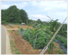  2025Ÿ��42132 ��� ���ý� ������ ȭ�縮 28-2      ����(��1)���