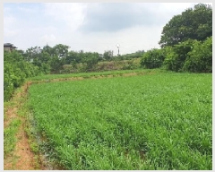  2025Ÿ��42132 ��� ���ý� ������ ȭ�縮 28-2      ����(��1)���