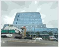  2025Ÿ��42181  ����Ʈ��������