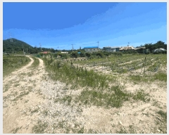  2025Ÿ��42191  ���(�󰡽ü�)���