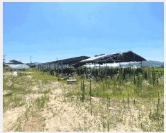  2025Ÿ��42191  ���(�󰡽ü�)���