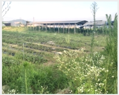  2025Ÿ��42191  ���(�󰡽ü�)���