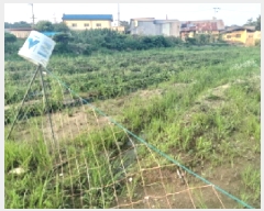  2025Ÿ��42191  ���(�󰡽ü�)���