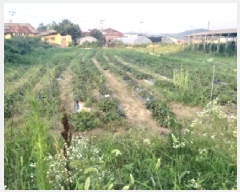  2025Ÿ��42191  ���(�󰡽ü�)���