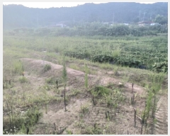  2025Ÿ��42191  ���(�󰡽ü�)���