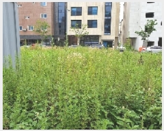  2025Ÿ��42200 ��� ���ý� ������ 1849-2       ����(����)���