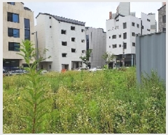  2025Ÿ��42200 ��� ���ý� ������ 1849-2       ����(����)���