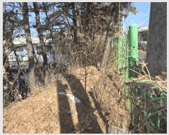  2025Ÿ��42453 ��� ���ý� ��ź�� �����ϸ� ��248-1      ����(�Ӿ�)���