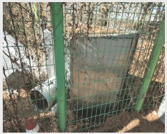  2025Ÿ��42453 ��� ���ý� ��ź�� �����ϸ� ��248-1      ����(�Ӿ�)���