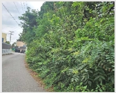  2025Ÿ��42453 ��� ���ý� ��ź�� �����ϸ� ��248-1      ����(�Ӿ�)���