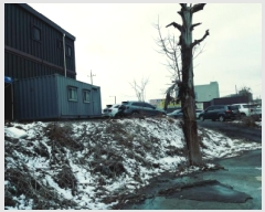  2025Ÿ��536 ��� ���ý� ������ 877       ����(��)���