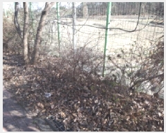  2025Ÿ��542 ��� ���ý� ������ �米�� 658-1      ������