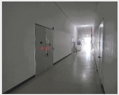  2025Ÿ551  ý   737-2 ۽ƮŸ 3310ȣ    Ʈ