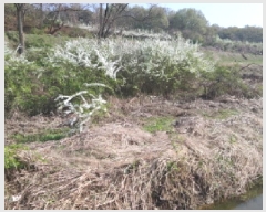  2025Ÿ572  ý   153-2      ()