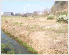  2025Ÿ572  ý   153-2      ()