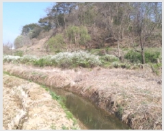  2025Ÿ572  ý   153-2      ()