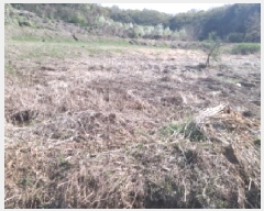  2025Ÿ572  ý   153-2      ()