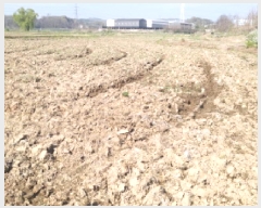  2025Ÿ572  ý   153-2      ()