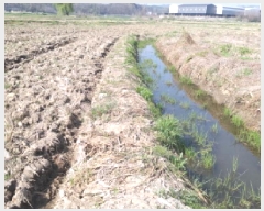  2025Ÿ572  ý   153-2      ()