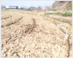  2025Ÿ572  ý   153-2      ()