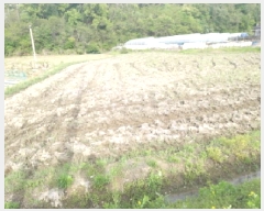  2025Ÿ��620  ����