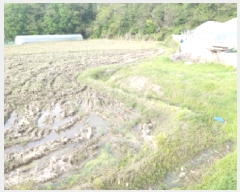  2025Ÿ��620  ����