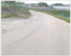  2025Ÿ��620  ����