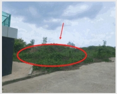  2025Ÿ626  ý 絿 283-46       (Ӿ)