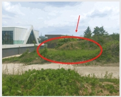  2025Ÿ626  ý 絿 283-46       (Ӿ)