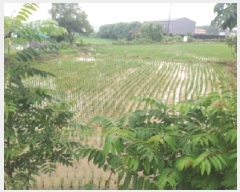  2025Ÿ��671 ��� ���ý� ������ ���츮 94-10      ����(��)���