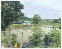  2025Ÿ��671 ��� ���ý� ������ ���츮 94      ����(��)���