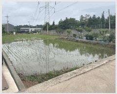  2025Ÿ��671 ��� ���ý� ������ ���츮 94      ����(��)���