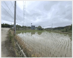  2025Ÿ��671 ��� ���ý� ������ ���츮 94      ����(��)���