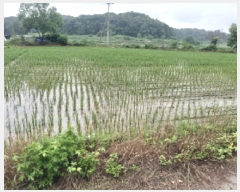  2025Ÿ��671 ��� ���ý� ������ ���츮 94      ����(��)���