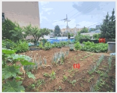  2025Ÿ��729  �������