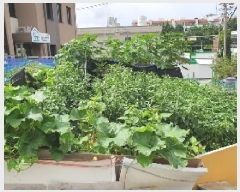  2025Ÿ��729  �������