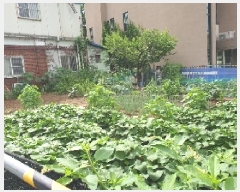  2025Ÿ��729  �������