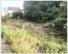  2025Ÿ��811  �������