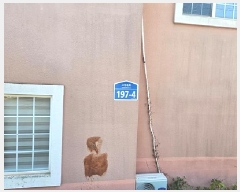  2025Ÿ��851 ��� ���ý� ������ �θ��� 225-9      ���ð��