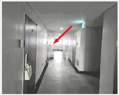  2025Ÿ41503  ý õ 185-44 ݽ̽ 9907ȣ     Ȱð