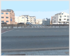  2025Ÿ��41528 ��� ���ý� ������ 2037-4       �ٰ������ð��